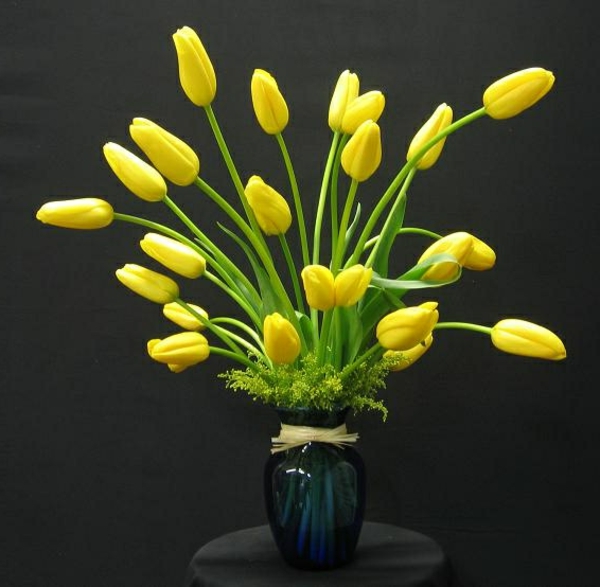 wunderschöne-süße-gelbe-französische-tulpen