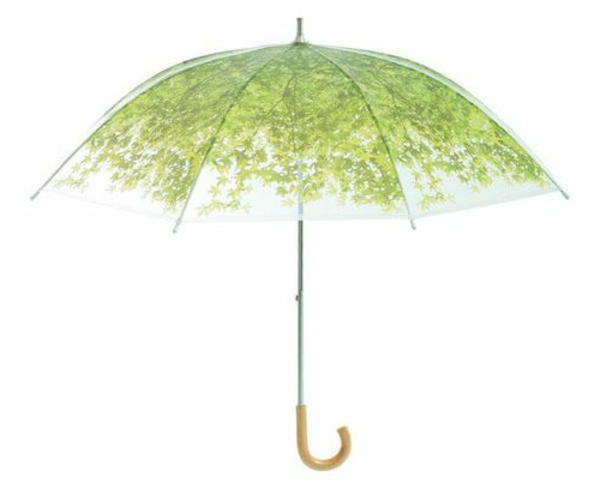 grüner origineller Regenschirm weißer Hintergrund