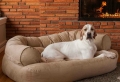 Hundesofa – 16 bequeme Modelle für den besten Hund!