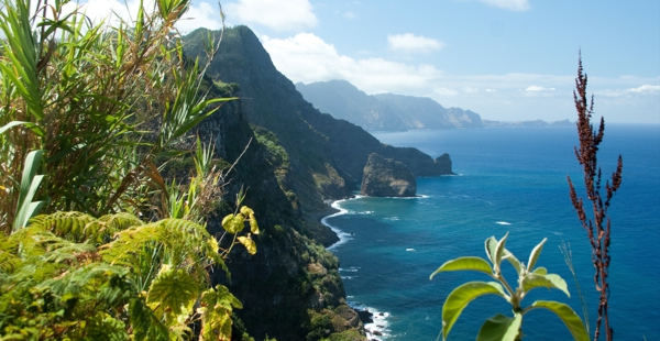 Madeira Insel wanderreise-madeira-wanderurlaub-madeira-urlaub-auf-madeira-urlaub-madeira-wandern-