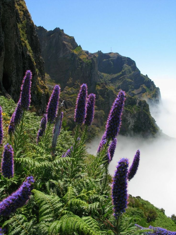 Madeira Insel -wanderreise-madeira-wanderurlaub-madeira-urlaub-auf-madeira-urlaub-madeira-wandern--
