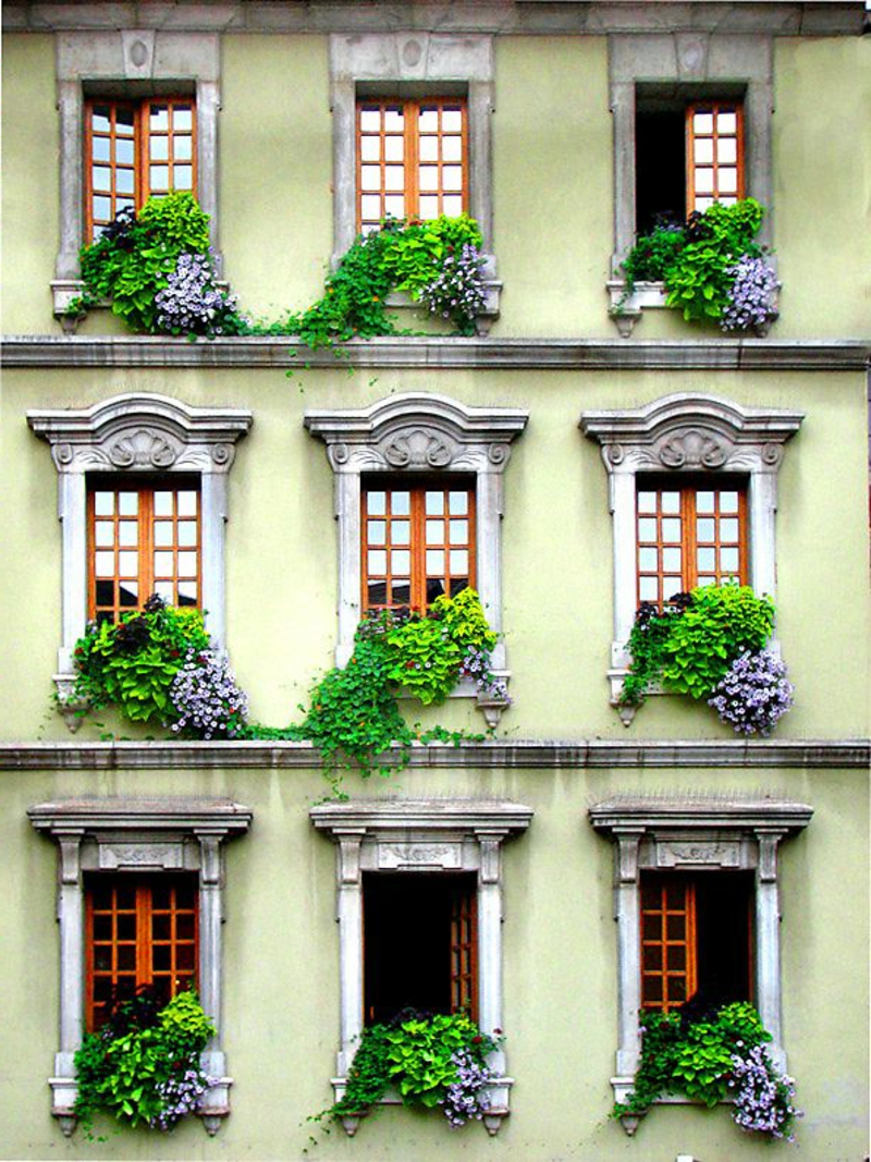 balkon-bepflanzen-schönes-gebäude-auf-drei-etagen
