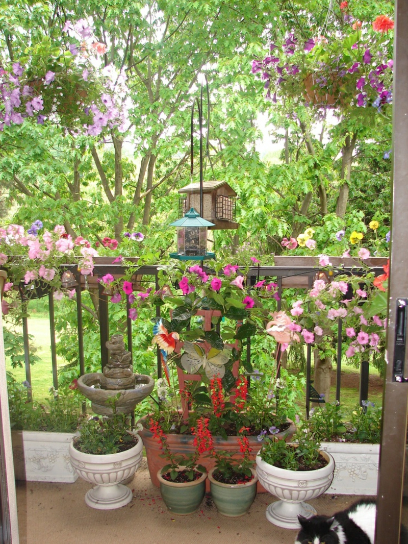 balkon-bepflanzen-super-viele-schöne-blumen