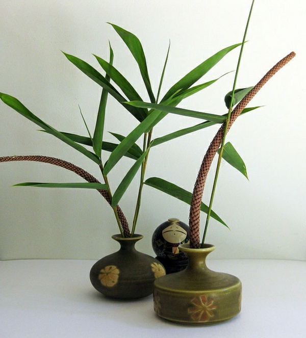 bambus-vase-interessante-grüne-pflanzen