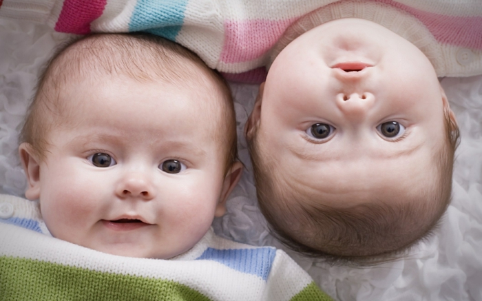 eineiige-zwillinge-süße-babys-foto-von-oben-genommen