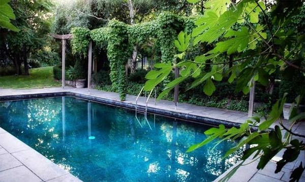 garten-pool-umgeben-von-grünen-pflanzen - exotisch aussehen