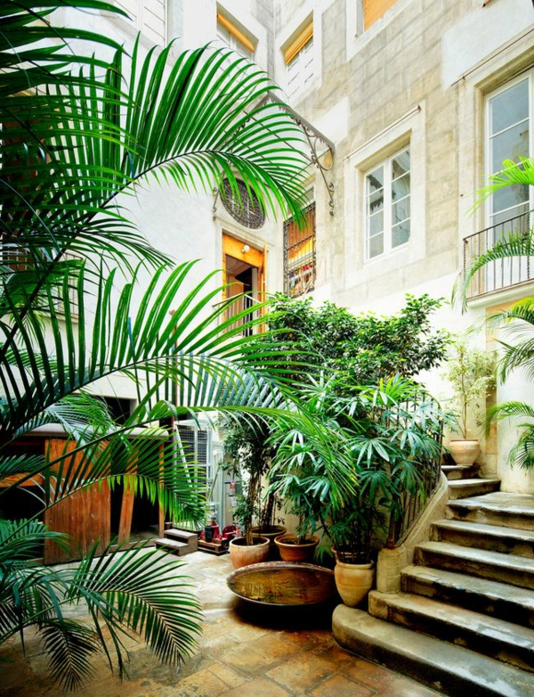 gartenhaus-mit-terrasse-grüne-pflanzen-neben-treppen
