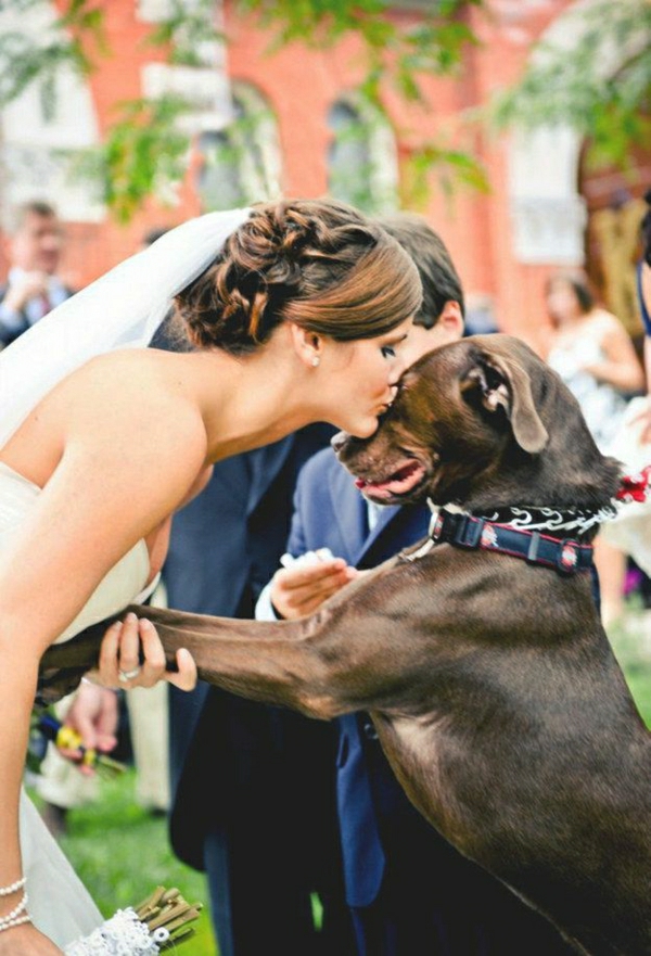 großer-Hund-Frau-Hochzeit-Kuss