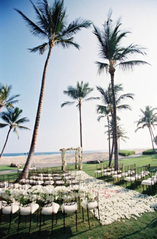 heiraten-am-strand-super-große-palmen