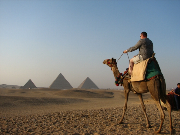 Ägypten-Reise-interessantes-foto-von-einem-kamel- schöner spaziergang
