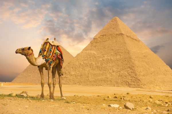 Ägypten-Reise-kamel-pyramide - goldene farbe