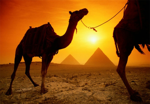 Ägypten-Reise-kamel-und-pyramiden