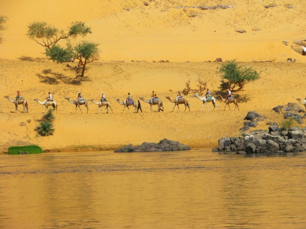 Ägypten-Reise-schöne-natur - reines wasser daneben