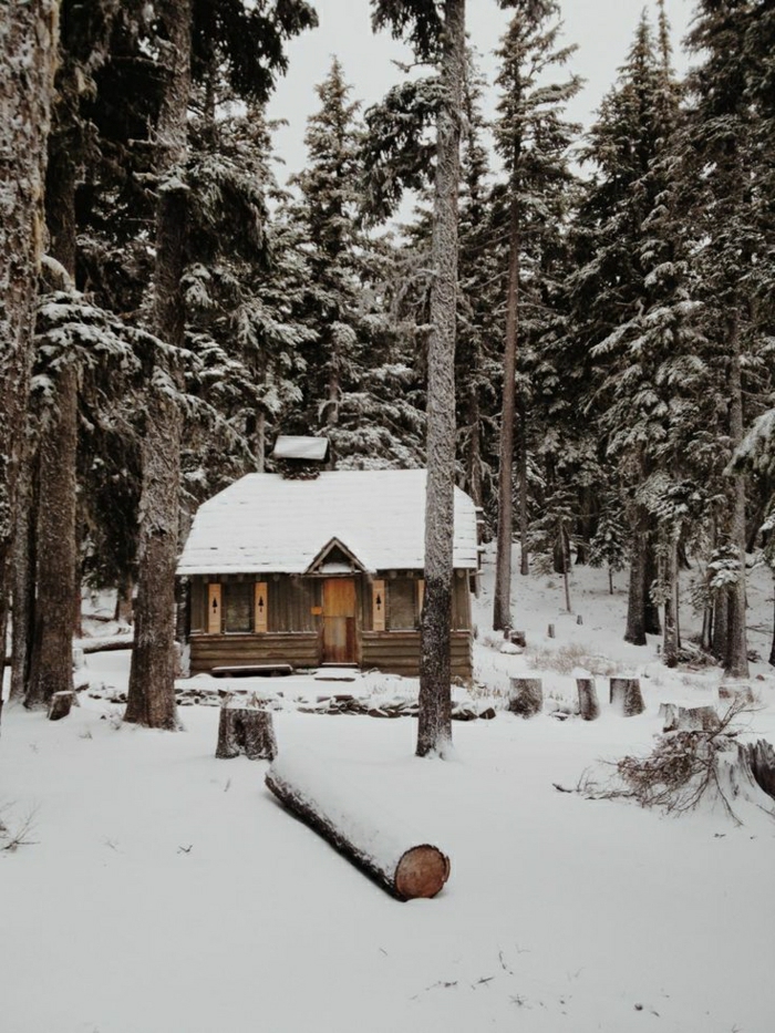 Gebirge-Wald-Hütte-Winter-Schnee-Nadelbäume