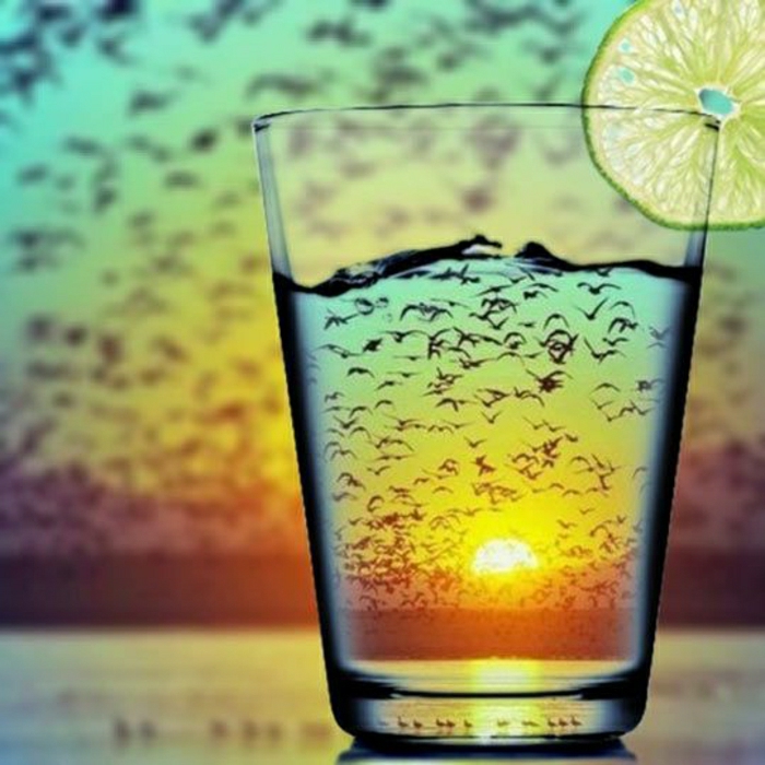 coole-Bilder-Getränk-Zitrone-Vogelschwarm-Sonnenuntergang