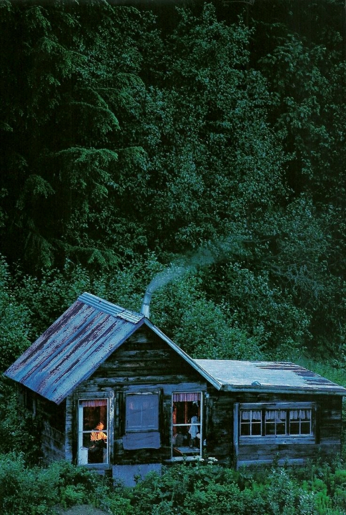 Hütte-Holz-Alaska-Wald