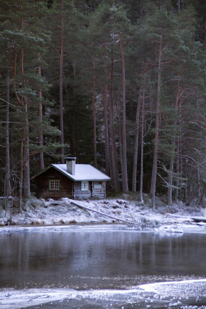 kleine-Berghütte-Wald-Nadelbäume-See-Schnee
