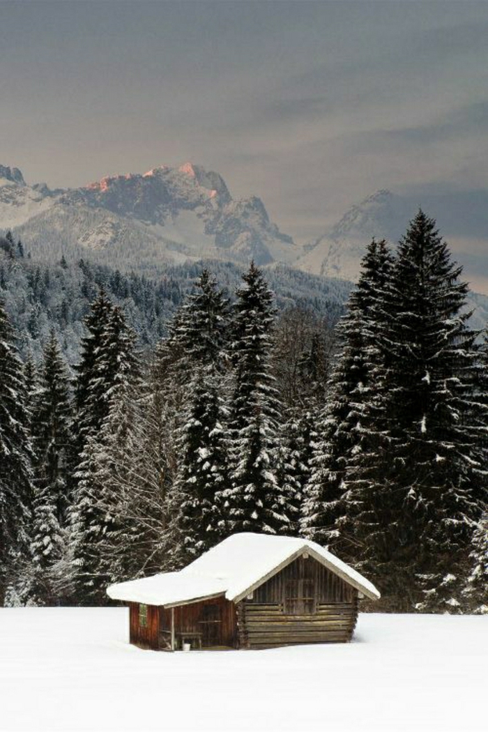 kleine-Hütte-Gebirge-Nadelbäume-Winter-Schnee