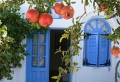 Mediterrane Gartengestaltung – 31 attraktive Bilder