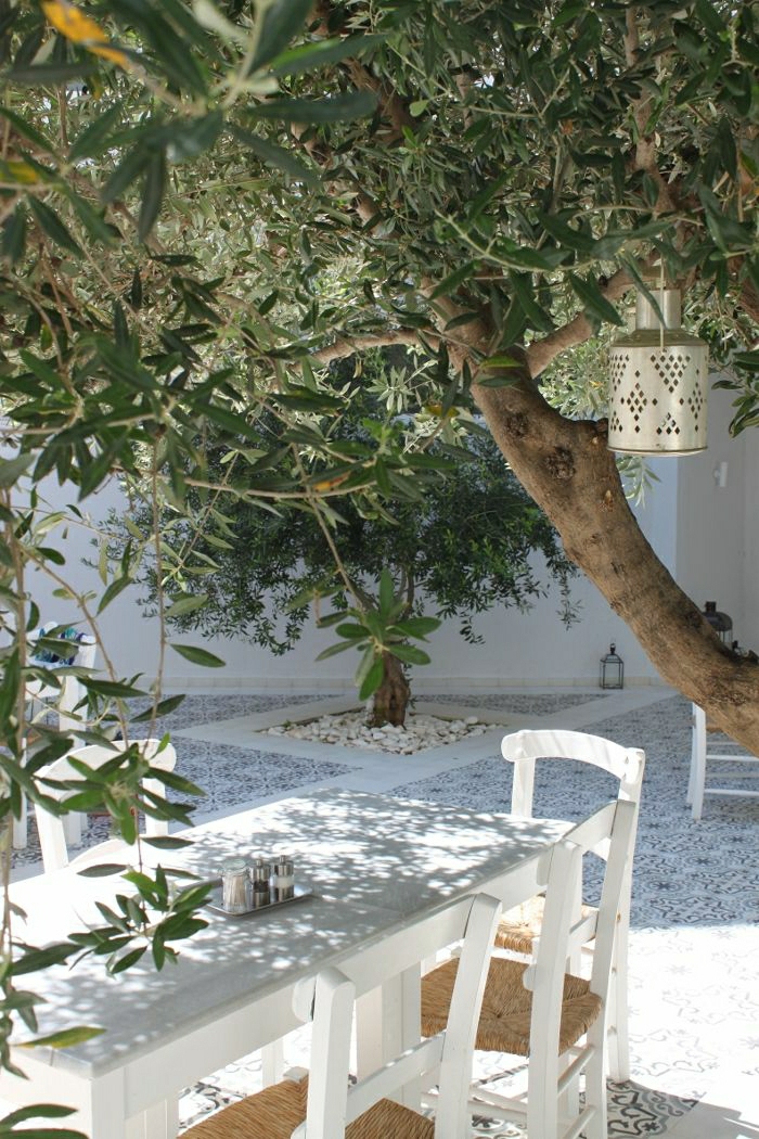 mediterraner-Garten-weiße-Stühle-Tisch-Olivenbaum