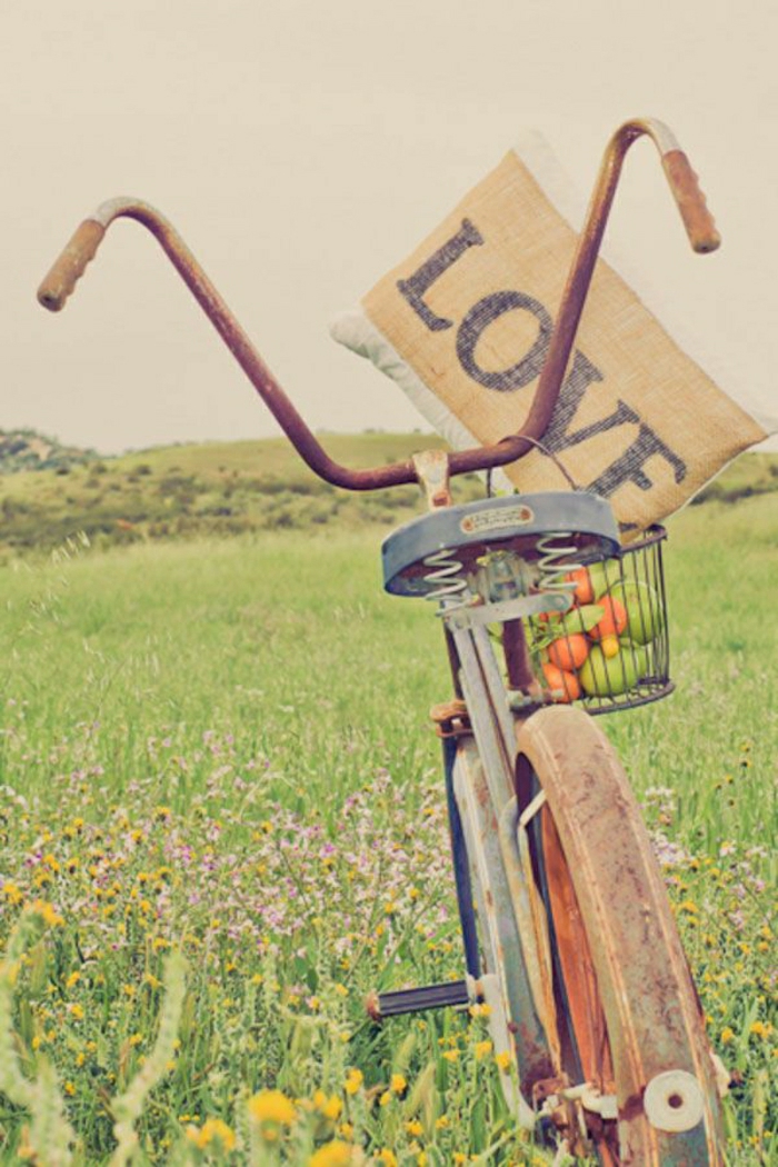 retro-altes-Fahrrad-Korb-Früchte-Kisse-Wiese-Blumen