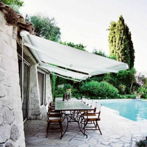 Gerbera - Blume mit vielen schönen Farbvarianten! - Archzine.net