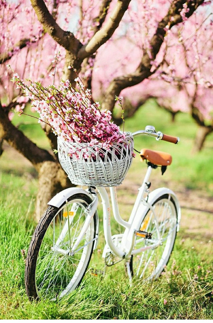weißes-vintage-Fahrrad-Gras-Baum-Frühlingsblüten