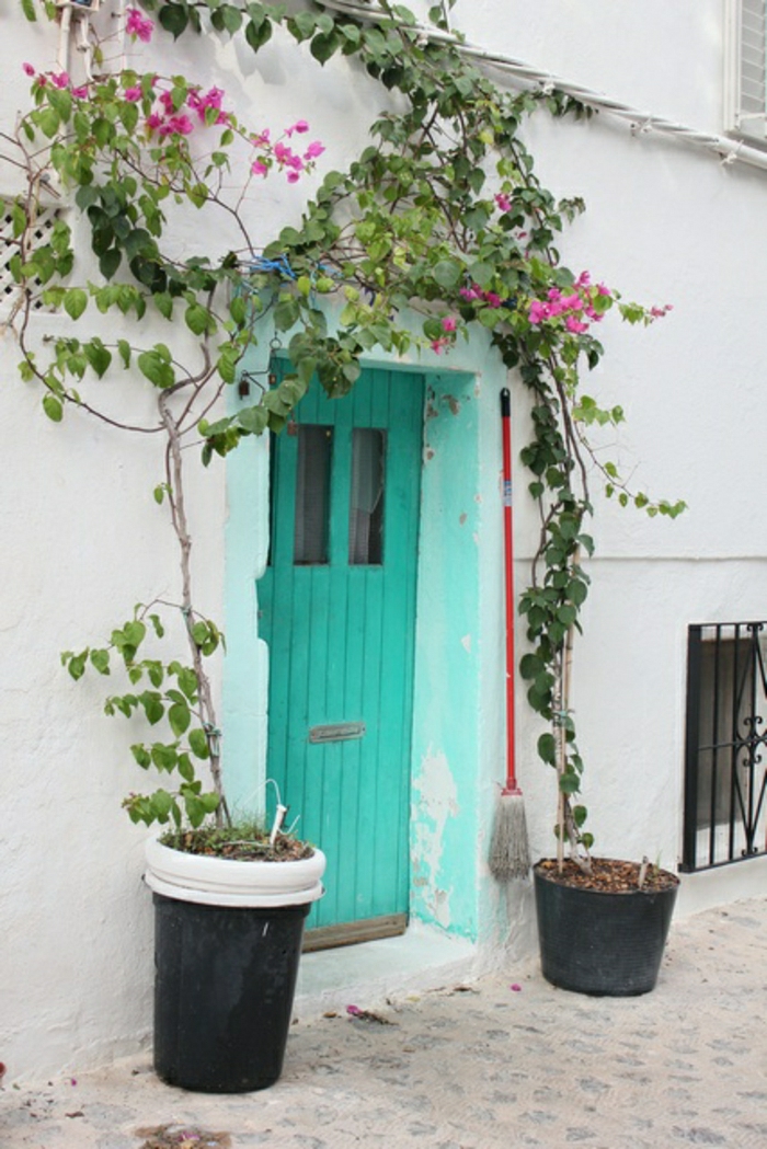 Ibiza-Spanien-türkis-Farbe-Haustür-alt-retro-vintage-rosa-Blumen