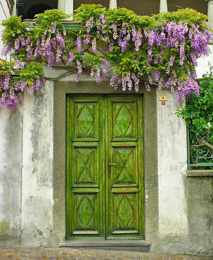 Piamonte-Italien-Haus-Haustür-vintage-grün-Blumen