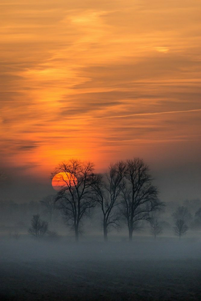 Sonnenuntergang-Bilder-Winterbild-Bäume