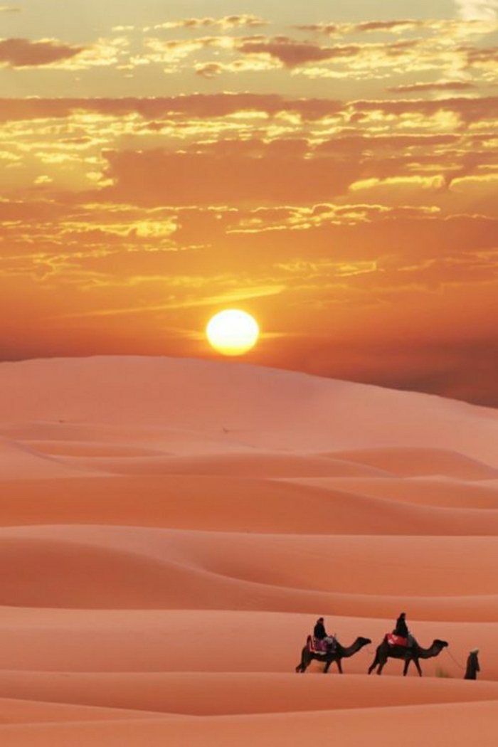Sonnenuntergang-Wüste-Sand-orange-Kamele