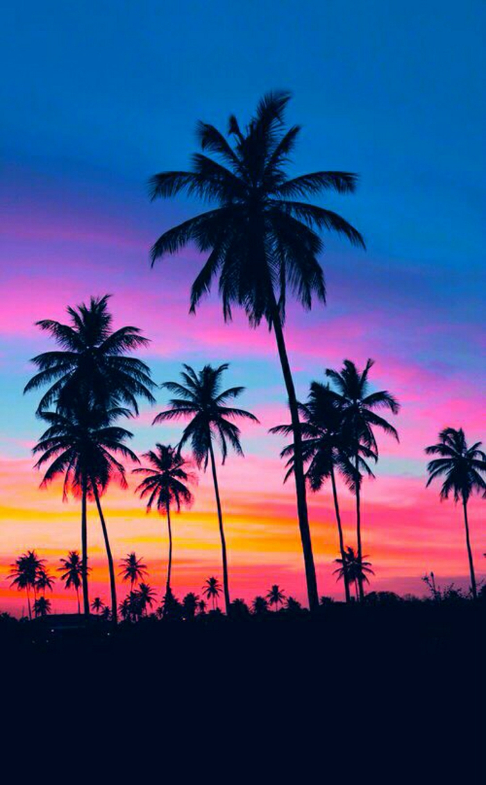 Sonnenuntergang-Bilder-süße-Nuancen-Himmel-Palmen-Strand