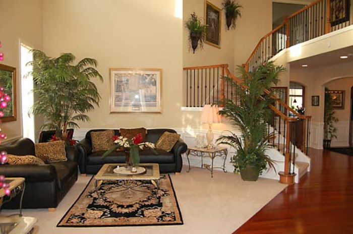 elegantes-wohnzimmer-grüne-pflanzen