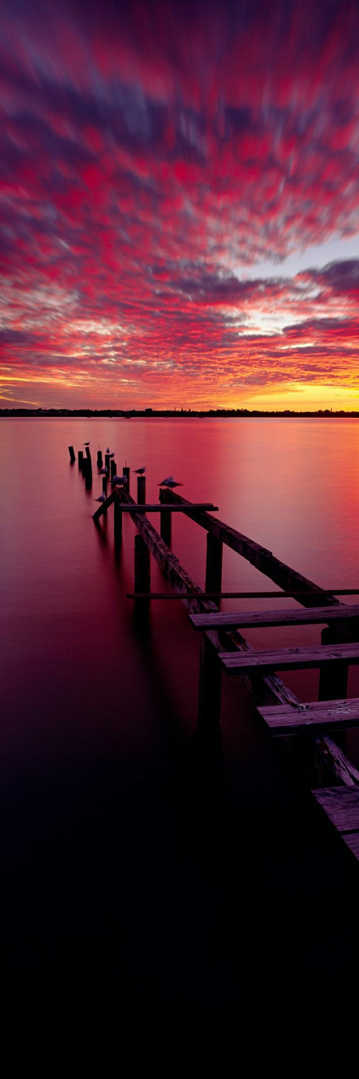 schöner-Sonnenuntergang-Brücke-Vögel-See