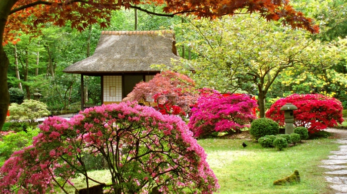 Garten-Frühling-schöne-Blüten-japanisches-Haus