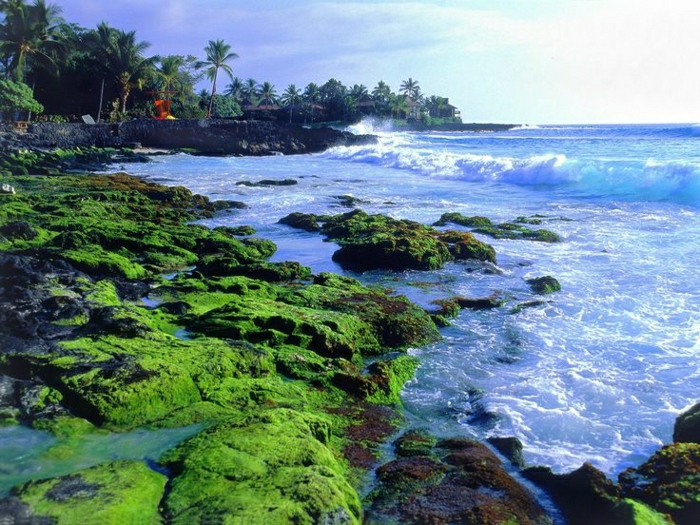 Hawaii-Küste-Strand-Ozean-Urlaub-exotisch
