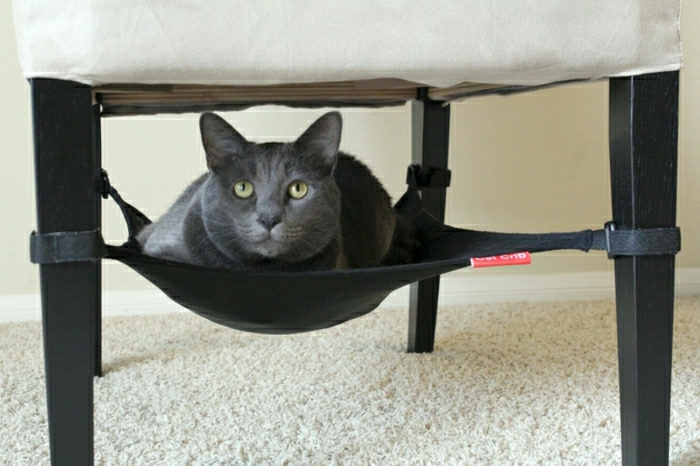 Hocker-kompakte-Katzen-Hängematte-schwarz-graue-Katze