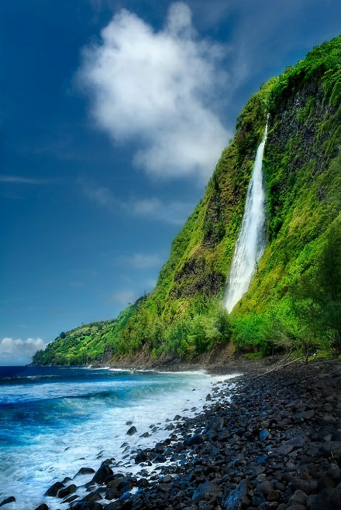 Kaluahine-Wasserfall-Big-Island-Hawaii