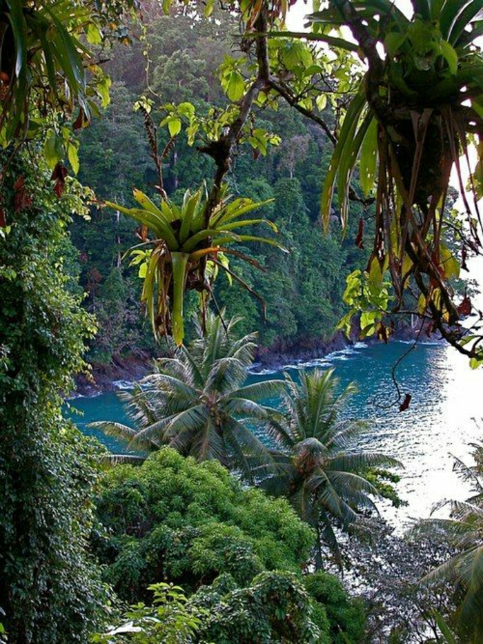 Onomea-Bay-Big-Island-Hawaii-märchenhafte-Sicht