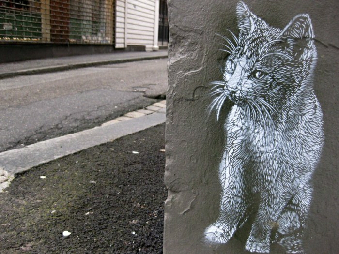 Street-Artist-Katze-schwarz-weiß-Graffiti