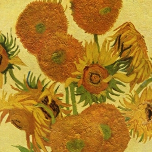 Klassische und alternative Sonnenblumen Bilder