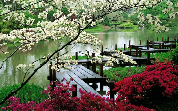 Washington-Park-Garten-japanischer-Stil-Baumblüten-See