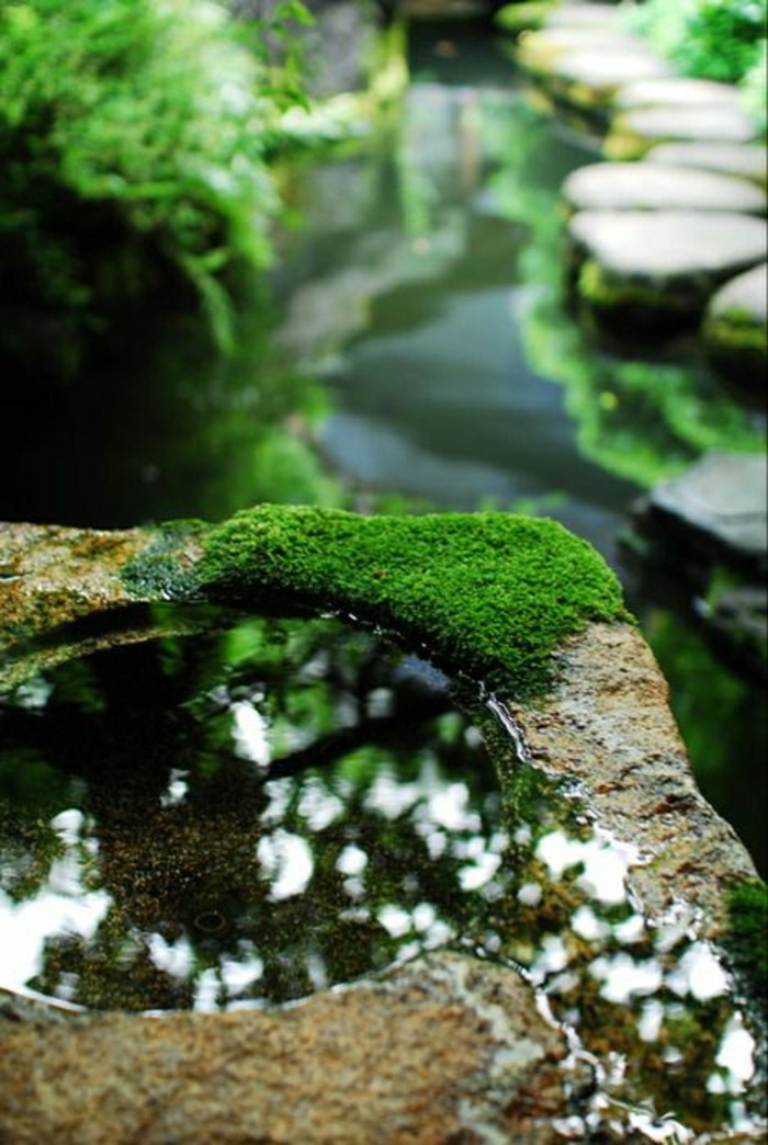 Zen-Garten-Wasserbrunnen-Moos