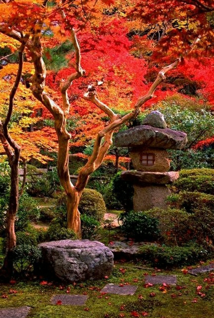 Zen-Garten-japanisch-asiatisch-Bonsaibäume-Steine
