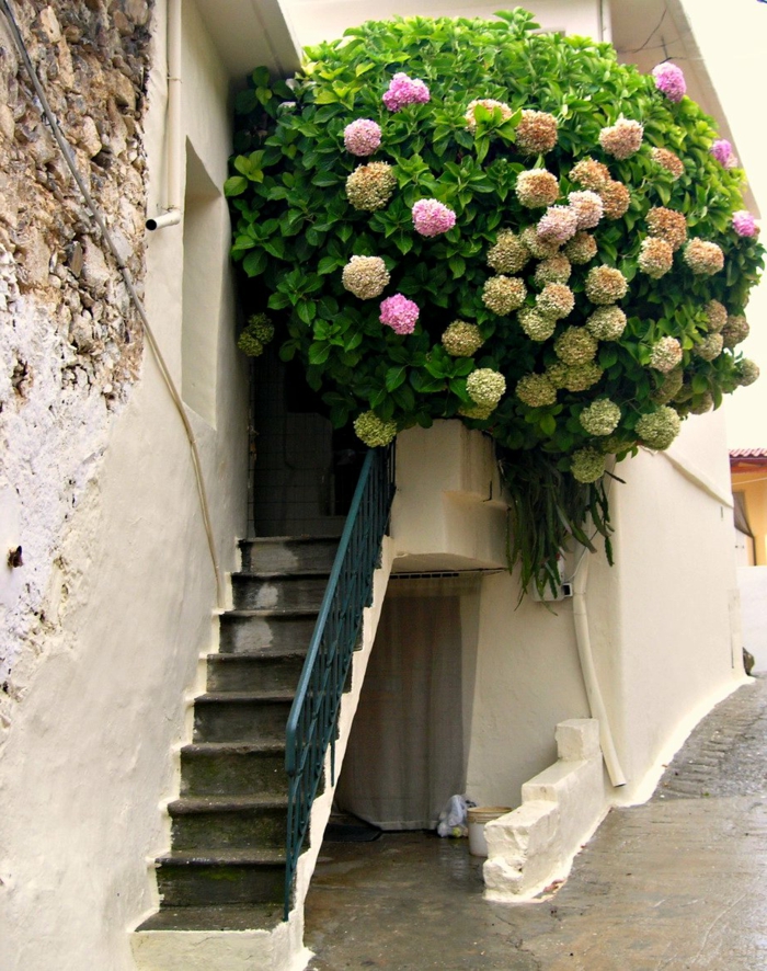 balkon-blumen-schöne-treppen
