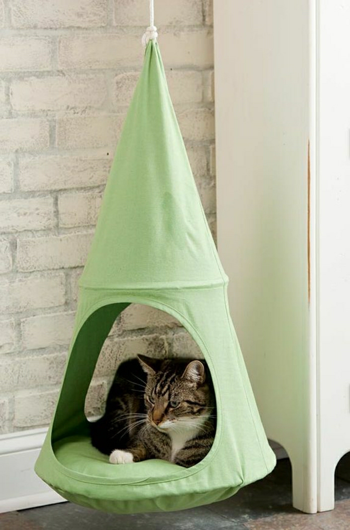 grüne-Hängematte-hängendes-Häuschen-Katze