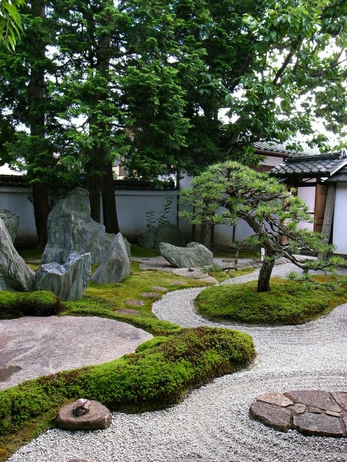 japanischer-Garten-Bonsaibaum-Steine