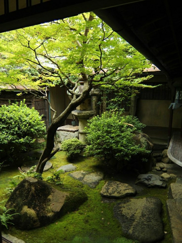 japanischer-Garten-Kyoto-Bäume-Zen