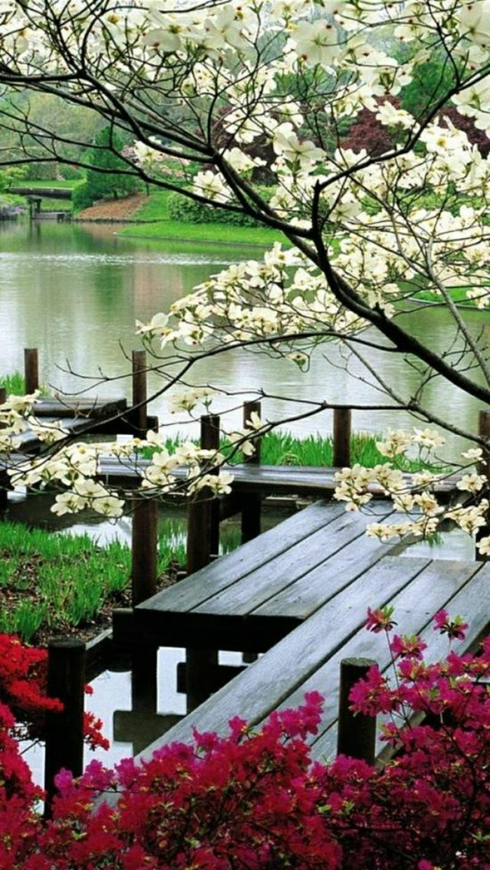 japanischer-Garten-See-Baumbüten-ruhige-Atmosphäre