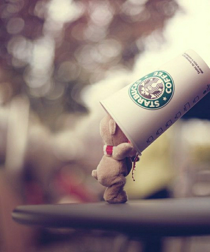 lustiges-Foto-Plüschtier-Papierbecher-Starbucks